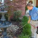 Trusted Pest Control Services in Boise: The Best Choice for Your Home